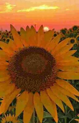 Ужасы возвращаются