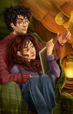 Тайна мисс Поттер