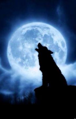 Пара для оборотня