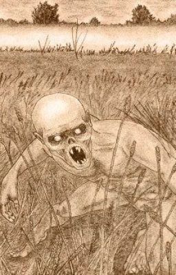 НОЧЬЮ НЕ СМОТРИ В ОКНО