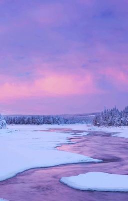 Неразделённая любовь