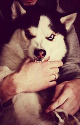 мои школьные будни. Подколки Над Новым Преподом.