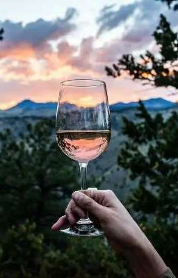 Бокал за ваше счастье | 16 