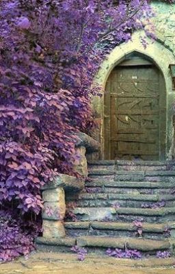 День влюбленного Валентина