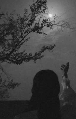 |Самая тихая ночь|