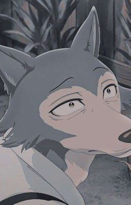 Выдающиеся звери {реакция}