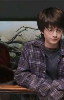 Первая отработка Гарри