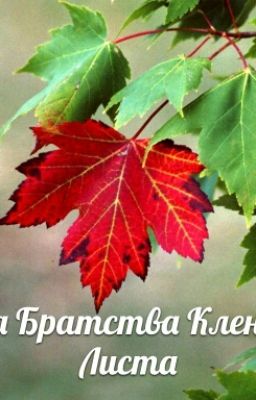 Тайна Пропавшего Академика