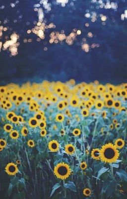 Приключения Пети и Бина