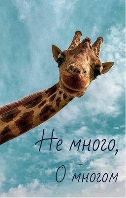 Не много, но о многом