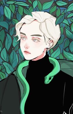 Драко Малфой и новенькая 