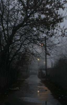 Вампир приходит ночью