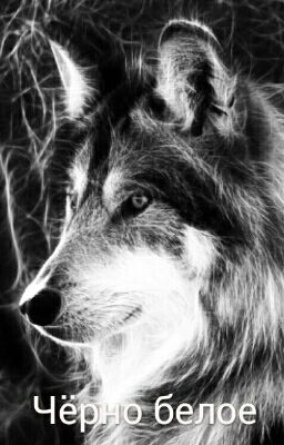 Чёрно белое