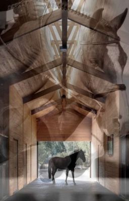 Рождёная лошадьми 