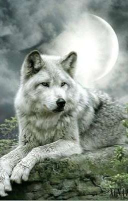 Истинная Альфа-самка