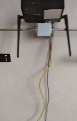 Любимая жена