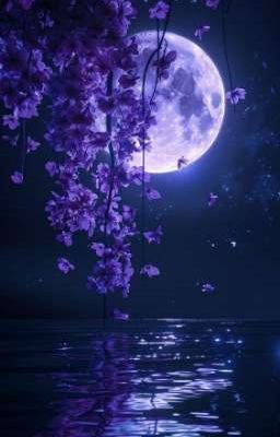 •секретная любовь партнёров•