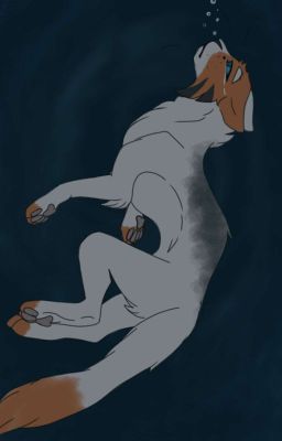 Хроники Когтей