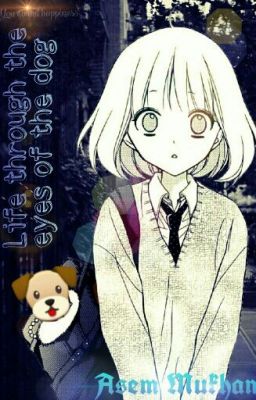 Жизнь Глазами Собаки.