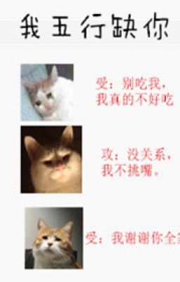 Я скучаю по тебе в пяти стихиях  БЛ