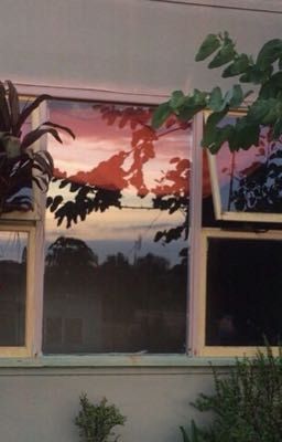 Она и закаты