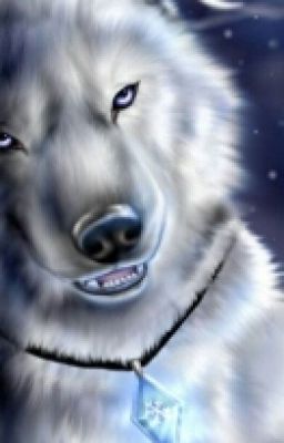 О боже я волчица!!