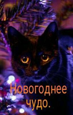 Новогоднее чудо.