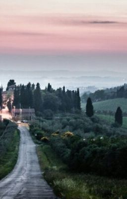 Тайный Поклонник