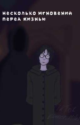 Несколько мгновений перед жизнью [Гарри Поттер Дарк Ау]