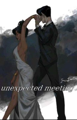 Неожиданная встреча