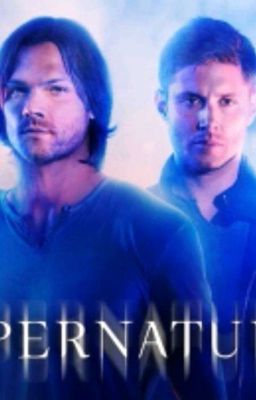 Серая мишка Винчестеров 