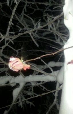 Служанка для Гарри Стайлса