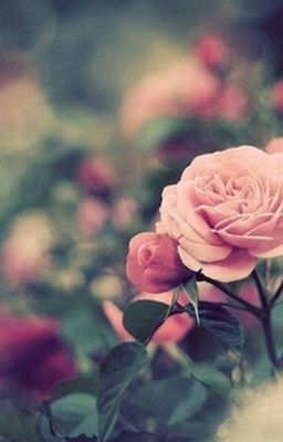 Наша жизнь- это всего лишь игра.