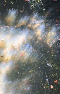 Таинственная экскурсия 