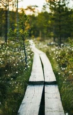 Случай в лесу