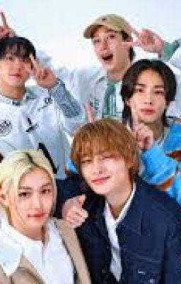 мини истории по Stray kids)