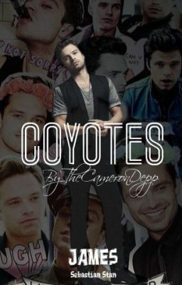 Американские Волки