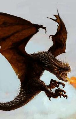 Мои друзья драконы