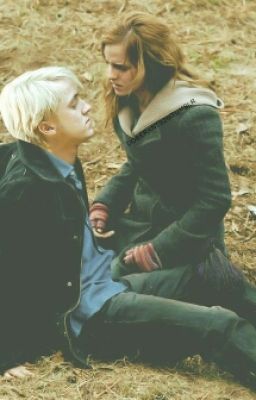 Уроки квиддича или Драмиона.