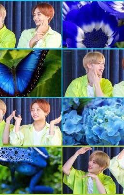 7 причин устраивать фансайны