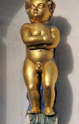 Несчастье золотого мальчика