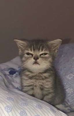 Танцы и смех 