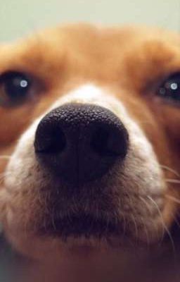 Человек зачем ты так...