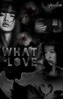 what is love? (Jenlisa)