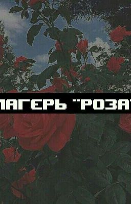 Лагерь "Роза"