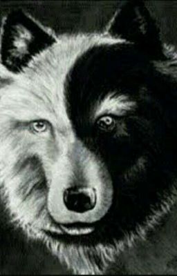 ~Академия•оборотней~