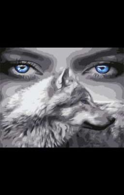 Кто я!? «Who I!?» 