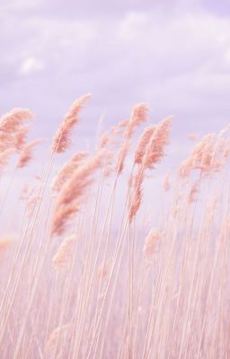 Там, где больше не видно солнца