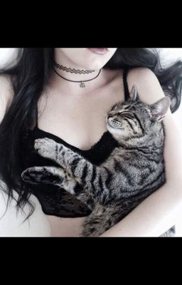 Попробуй останови