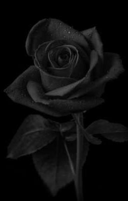 ~колючая роза~